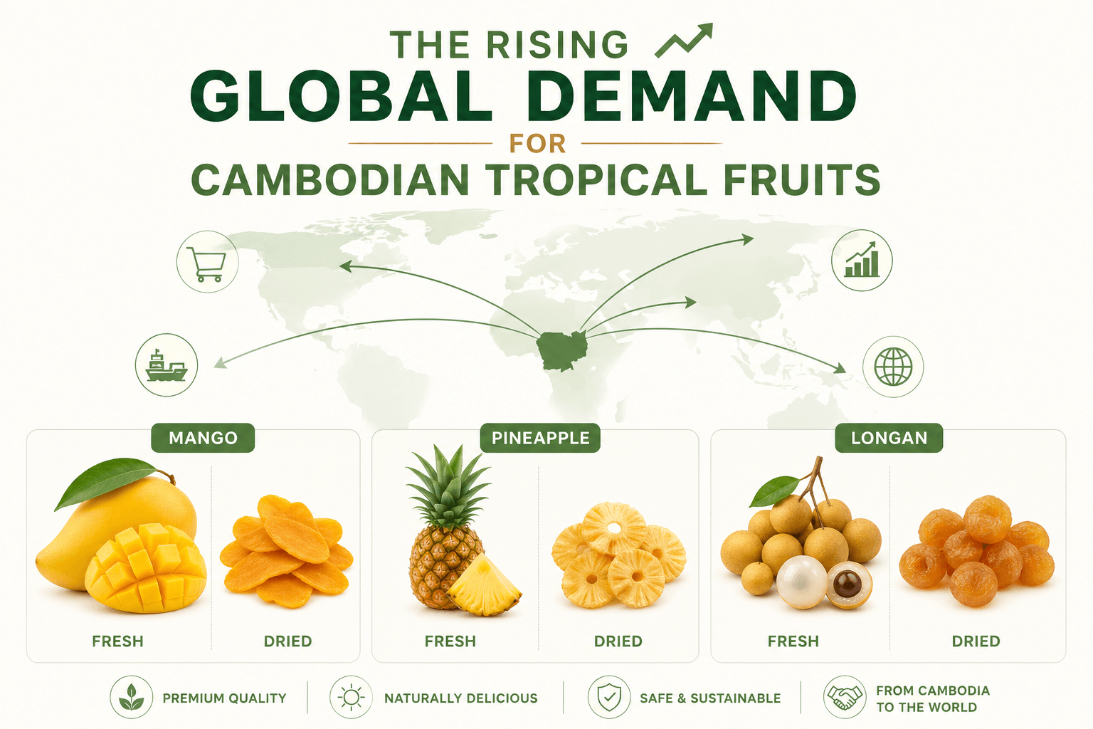 Cambodian Tropical Fruits